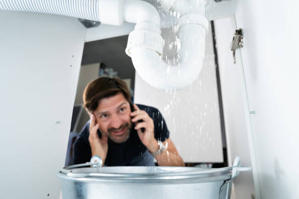 Best Residential Plumbing Services  in Petal, MS